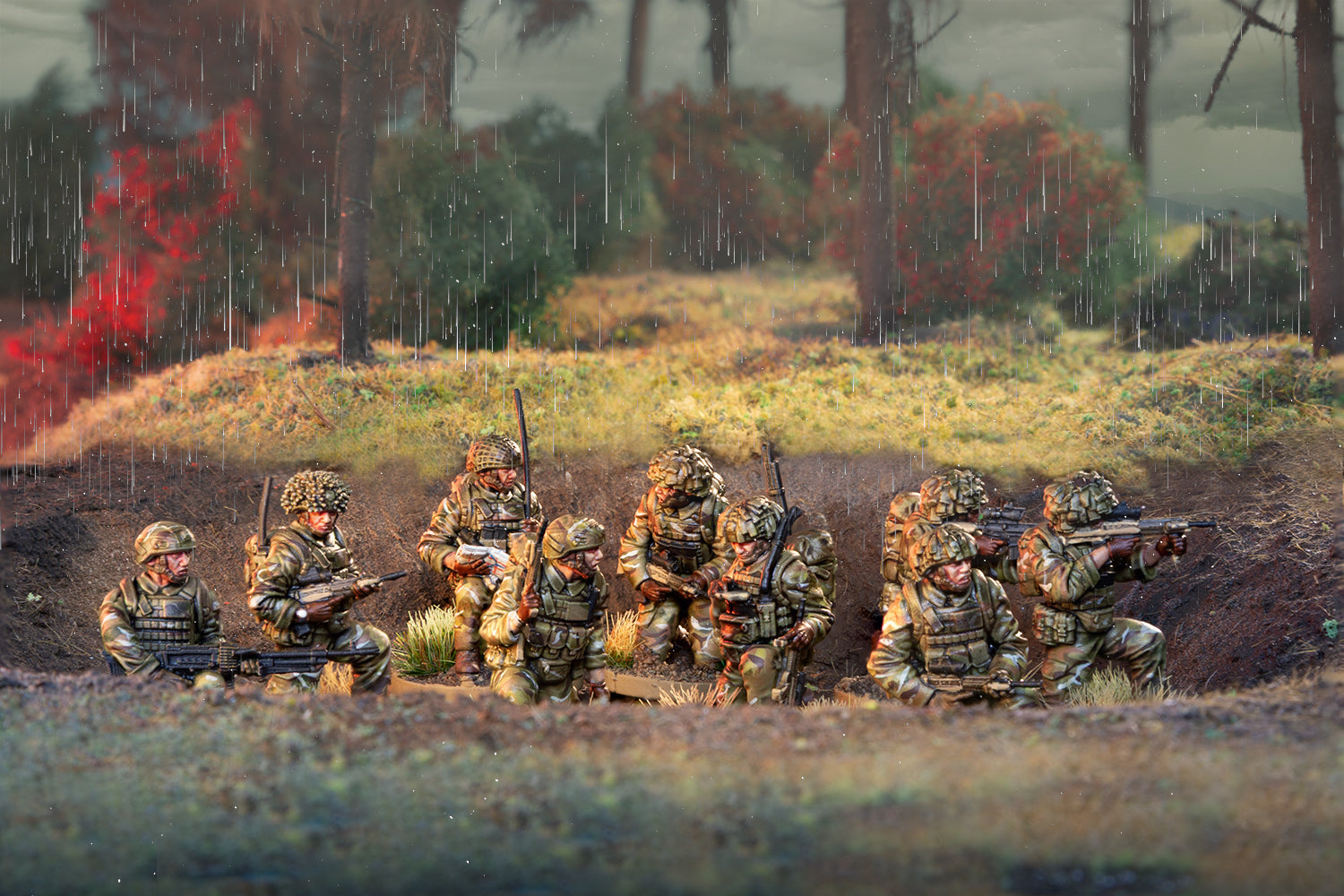 British Forces